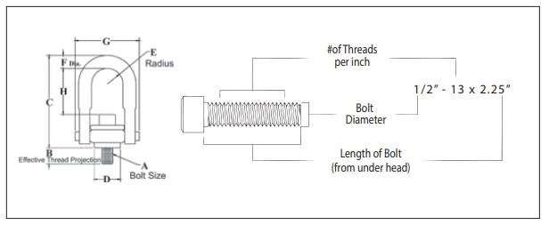 Hoist Rings